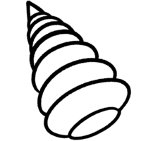 Coral line,Shell line,seaweed Black and white outline white color in shape and black line png