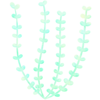 pastel verde algas marinas mar verano colección.acuarela ilustración y dibujos animados estilo pastel Oceano ilustración aislado png