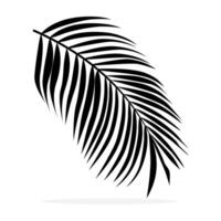 un palma hoja es mostrado en negro y blanco vector