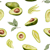 Aquarell Avocado nahtlos Muster. Grün Gemüse Illustration. Hand gezeichnet botanisch Pflanze Zeichnung Hintergrund zum Pack, Textil, Stoff und Essen Verpackung Design png