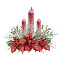 Christmas traditional composition with red flower poinsetia png