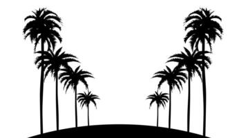 palm trees silhouette on white background vector