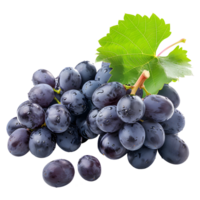 Grape Fruits, Fresh and Juicy, Isolated on Transparent Background. png