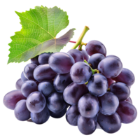 grain de raisin des fruits, Frais et juteux, isolé sur transparent Contexte. png