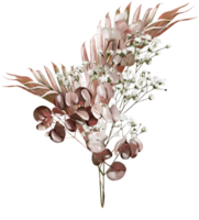 Watercolor bouquet with pampass and herbs. Illustration png