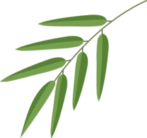 bamboo leaf pieces png