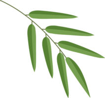 bamboo leaf pieces png