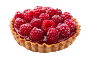 Delicious Raspberry Tart png