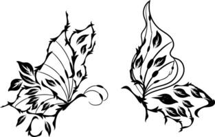 Beautiful butterfly outline illustration vector