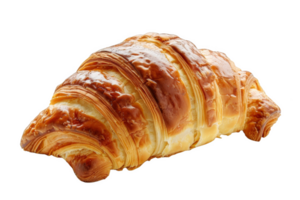 Close-Up of a Large Pastry png