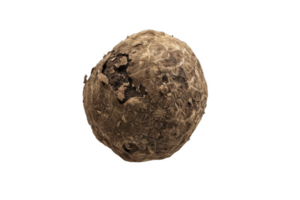 Degraded Truffle Ball png