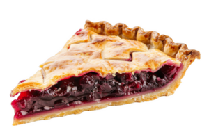 fermer de une tranche de tarte png