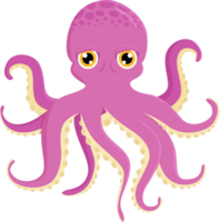 octopus cartoon isolate illustration design png