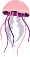 jellyfish illustration design isolate png