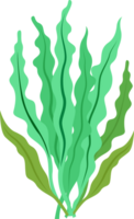 green seaweed illustration design isolate png