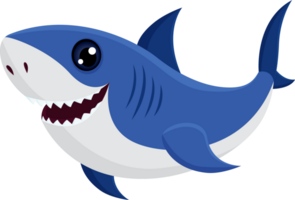 requin dessin animé isolé sur blanc png