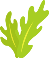 green seaweed illustration design isolate png