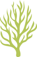 sea coral illustration design isolate png