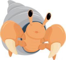 hermit crab cartoon character illustration design isolate png