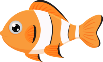 sea clown fish cartoon character illustration design isolate png