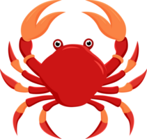 rouge Crabe sur blanc Contexte png