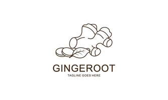 Ginger root logo. Round linear logo of ginger vector