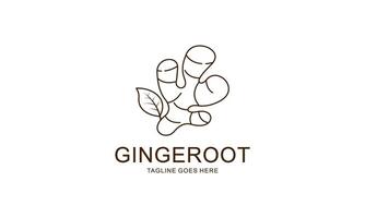 Ginger root logo. Round linear logo of ginger vector