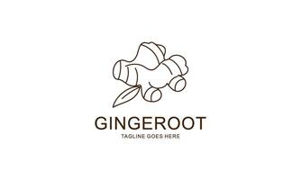 Ginger root logo. Round linear logo of ginger vector