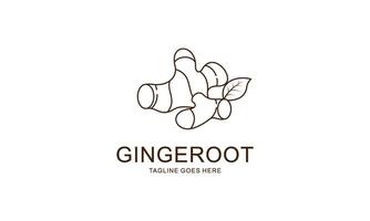 Ginger root logo. Round linear logo of ginger vector