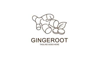 Ginger root logo. Round linear logo of ginger vector