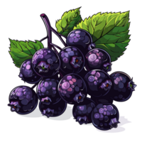 Black Elderberry Flat Colors Cartoon png