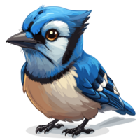 azul Jay desenho animado png