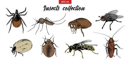 engraved style illustrations for posters, logo, emblem and badge. Hand drawn sketch set of insects, fly, sucker, mosquito, bug, wasp, mite, cockroach. Detailed vintage etching drawing. vector