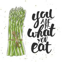 card with hand drawn unique typography design element for greeting cards, decoration, prints and posters. You are what you eat with sketch of asparagus, modern brush calligraphy with splash. vector
