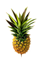 whole pineapple on neutral background png