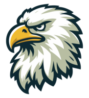 Bald Eagle Head png