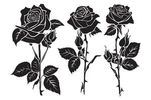 Set of black silhouettes of decorative fresh blossoming rose with steam and leaves. Hand drawn outline flower icon monochrome illustrations isolated on white background vector