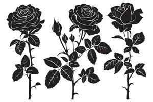 Set of three black silhouettes of rose flowers isolated on a white background. Minimalist hand drawn sketch. stock illustration vector