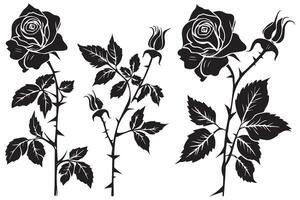 Set of black silhouettes of decorative fresh blossoming rose with steam and leaves. Hand drawn outline flower icon monochrome illustrations isolated on white background vector