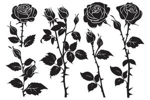 Set of black silhouettes of decorative fresh blossoming rose with steam and leaves. Hand drawn outline flower icon monochrome illustrations isolated on white background vector