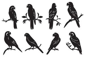 Set of silhouettes of parrots. Collection of tropical birds from the Amazon jungle. Domestic parrot on a sit on a stand.illustration on a white background vector