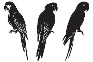 set of parrot silhouettes vector