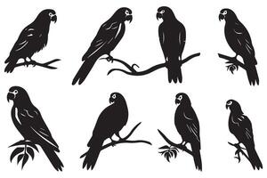 Black silhouette set of parrot on a white background vector