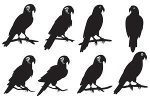 Set of silhouettes of parrots. Collection of tropical birds from the Amazon jungle. Domestic parrot on a sit on a stand.illustration on a white background vector