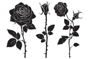 Beautiful rose flowers silhouette set isolated on white background vector