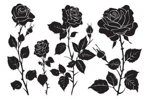 Rosa siluetas negro brotes y tallos de rosas plantillas aislado en blanco antecedentes vector
