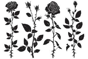 Beautiful rose flowers silhouette set isolated on white background vector