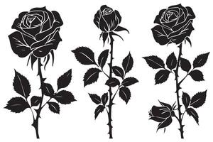 Beautiful rose flowers silhouette set isolated on white background vector