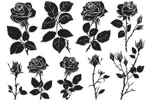 Set of black silhouettes of decorative fresh blossoming rose with steam and leaves. Hand drawn outline flower icon monochrome illustrations isolated on white background vector