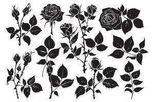 Set of black silhouettes of decorative fresh blossoming rose with steam and leaves. Hand drawn outline flower icon monochrome illustrations isolated on white background vector